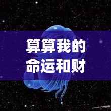 命运与财运深度解析,星座运势预测报告