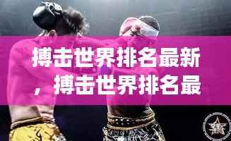 搏击世界最新排名与星座运势中的强者风云变幻