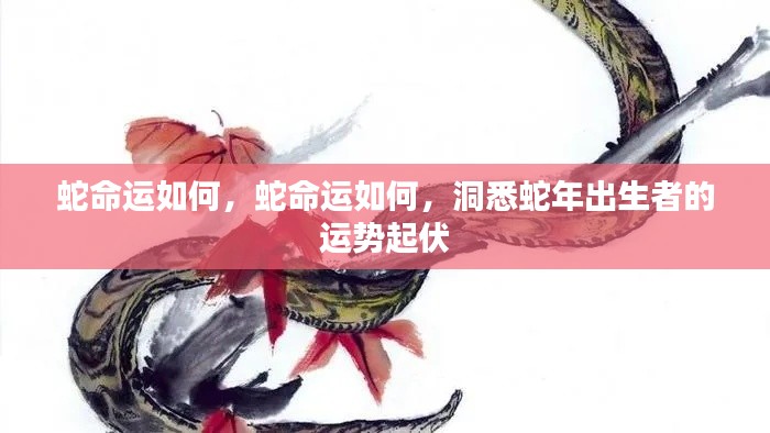 蛇年出生者的运势起伏深度解析,洞悉蛇命之奥秘