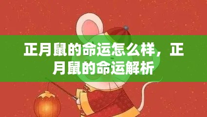 正月鼠的命运详解与解析