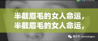 半截眉毛的女人命运,神秘面相揭示生命轨迹