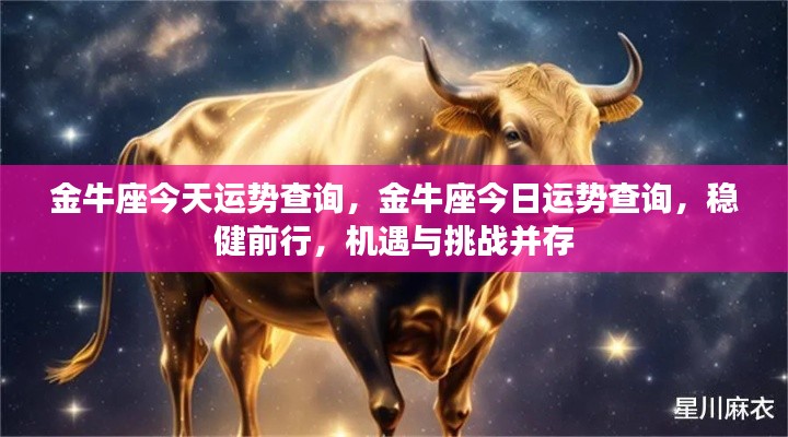 金牛座今日运势,稳健前行,机遇与挑战并存。
