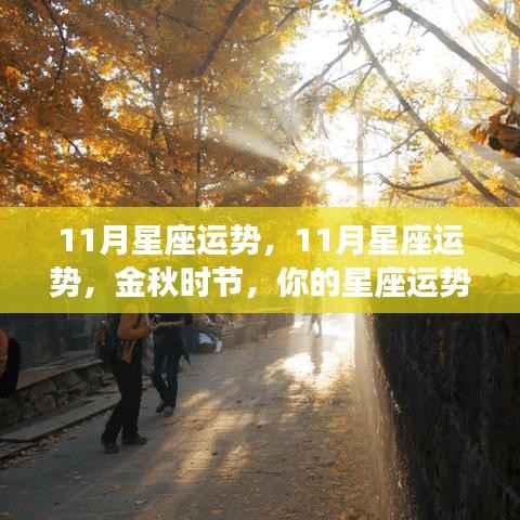 金秋时节星座运势解析,揭秘你的星座在11月的运势走向