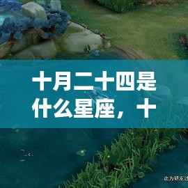 十月二十四日星座运势揭秘，探寻属于你的星辰轨迹