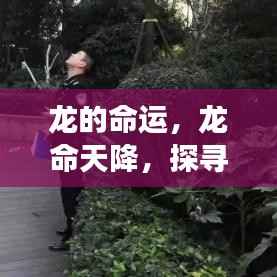 生肖龙,命运轨迹探寻与深层内涵解读
