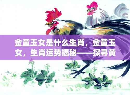 黄道星座与生肖奥秘揭秘,金童玉女的生肖运势探索