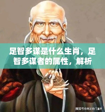 生肖与智慧之关联,足智多谋者的属性解析与揭秘