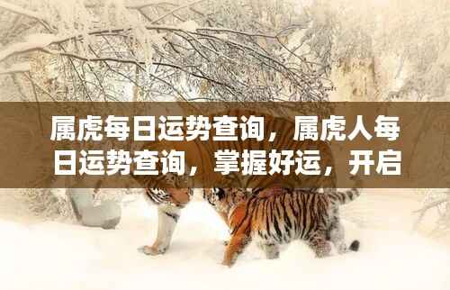 属虎人的每日运势查询,掌握好运势,迎接美好一天