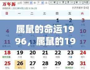 1996年属鼠命运与星座运势概览