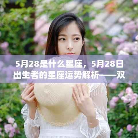 5月28日星座运势解析,双子座与坚韧意志的碰撞,探寻命运之路的指引之光
