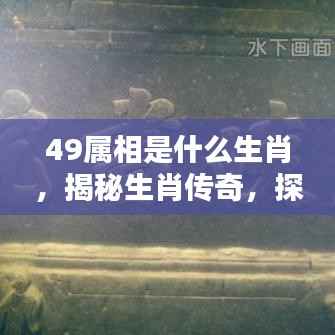 揭秘生肖传奇,探寻49属相背后的神秘面纱与生肖传奇故事