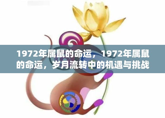 岁月变迁下,1972年属鼠人的命运机遇与挑战解析