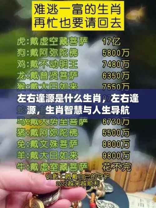 左右逢源生肖智慧揭秘,人生导航的艺术