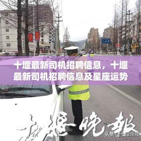 十堰最新司机招聘信息及星座运势概览解析