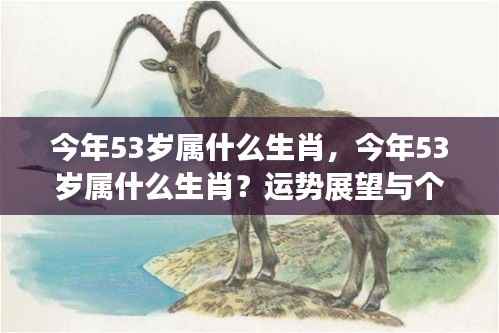 今年53岁属生肖运势展望与个性解析