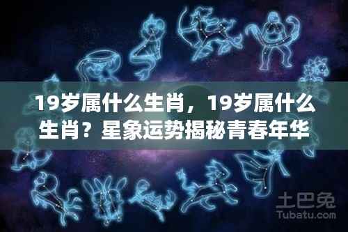 揭秘青春年华机遇与挑战,19岁属相生肖运势解析