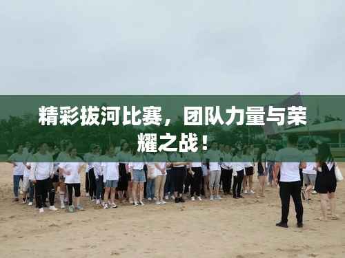 精彩拔河比赛,团队力量与荣耀之战!