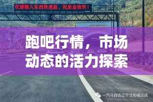 跑吧行情,市场动态的活力探索之旅