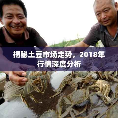 揭秘土豆市场走势,2018年行情深度分析