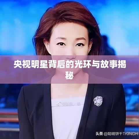 央视明星背后的光环与故事揭秘