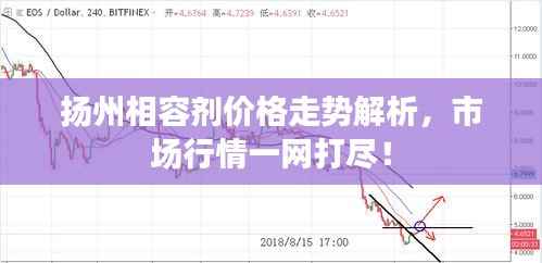 扬州相容剂价格走势解析,市场行情一网打尽!