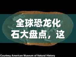 全球恐龙化石大盘点,这些国家名列前茅!