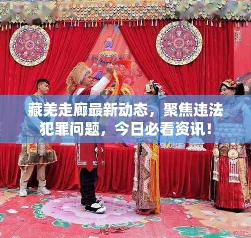 藏羌走廊最新动态,聚焦违法犯罪问题,今日必看资讯!