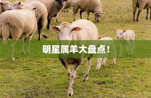 明星属羊大盘点!