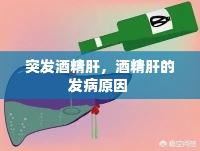 突发酒精肝,酒精肝的发病原因
