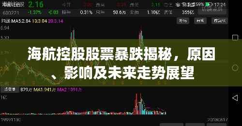 海航控股股票暴跌揭秘,原因、影响及未来走势展望
