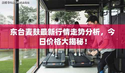 东台麦麸最新行情走势分析,今日价格大揭秘!