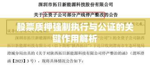 股票质押强制执行与公证的关键作用解析