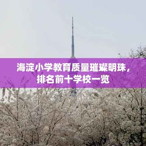 海淀小学教育质量璀璨明珠,排名前十学校一览