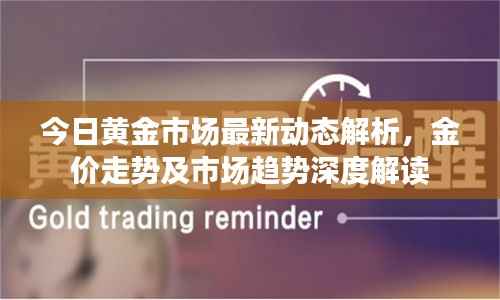 今日黄金市场最新动态解析,金价走势及市场趋势深度解读