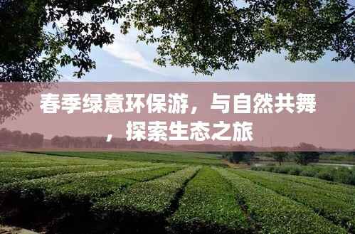 春季绿意环保游,与自然共舞,探索生态之旅