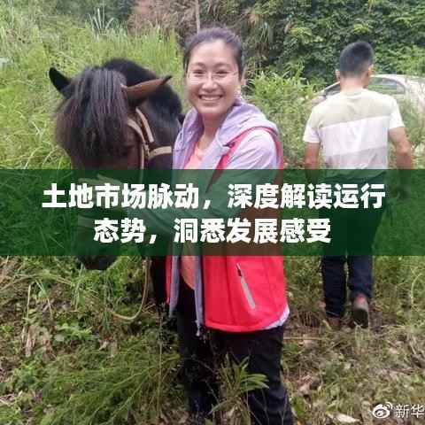 土地市场脉动,深度解读运行态势,洞悉发展感受