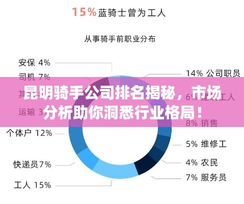 昆明骑手公司排名揭秘,市场分析助你洞悉行业格局!