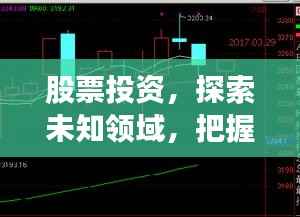 股票投资,探索未知领域,把握黄金机遇