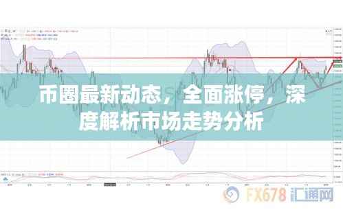币圈最新动态,全面涨停,深度解析市场走势分析