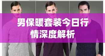 男保暖套装今日行情深度解析