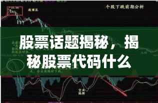 股票话题揭秘,揭秘股票代码什么300背后的奥秘