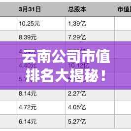云南公司市值排名大揭秘!