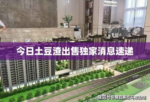今日土豆渣出售独家消息速递
