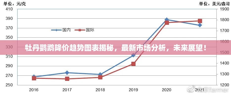 牡丹鹦鹉降价趋势图表揭秘,最新市场分析,未来展望!