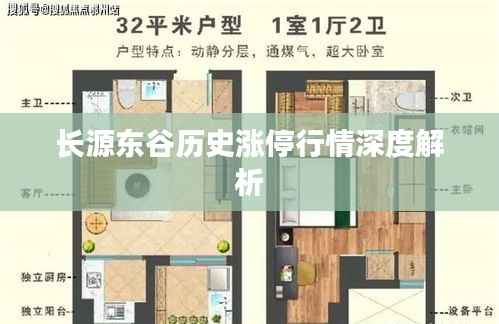 长源东谷历史涨停行情深度解析