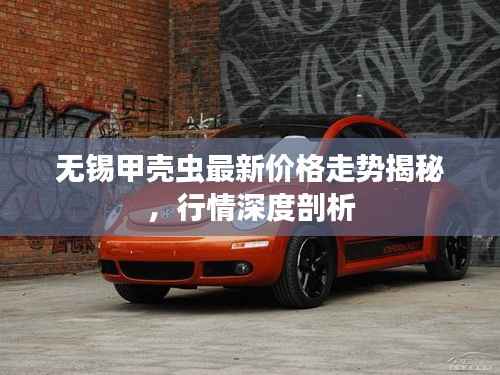 无锡甲壳虫最新价格走势揭秘,行情深度剖析