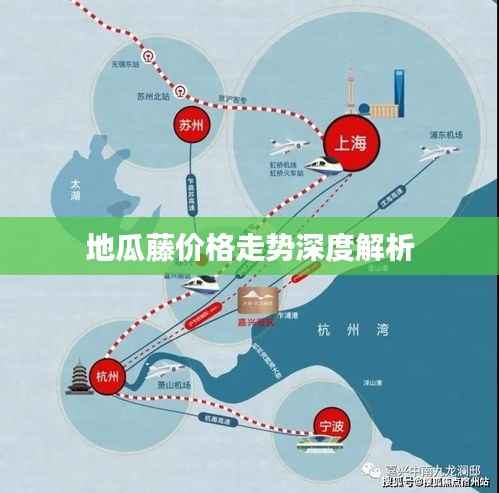 地瓜藤价格走势深度解析