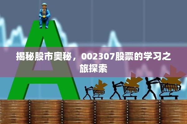 揭秘股市奥秘,002307股票的学习之旅探索