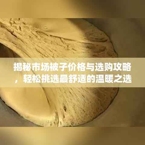 揭秘市场被子价格与选购攻略,轻松挑选最舒适的温暖之选