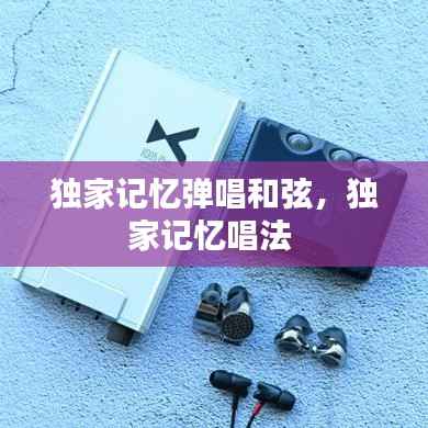 独家记忆弹唱和弦,独家记忆唱法